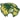 Utah Valley Wolverines